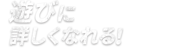 遊びに詳しくなれる！